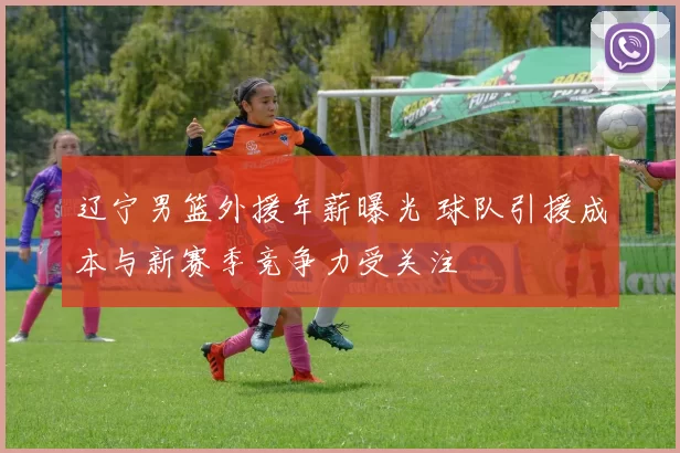 辽宁男篮外援年薪曝光 球队引援成本与新赛季竞争力受关注