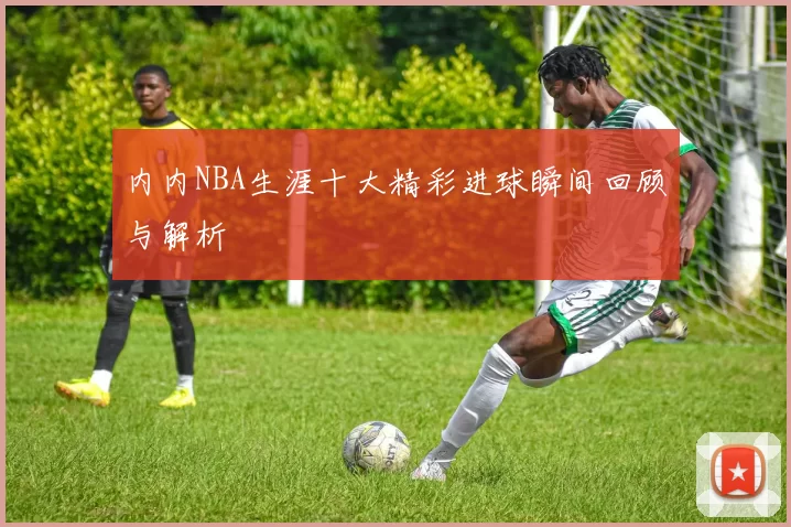内内NBA生涯十大精彩进球瞬间回顾与解析