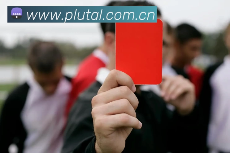 333体育(中国)官方网站 - 333 SPORTS发展历程